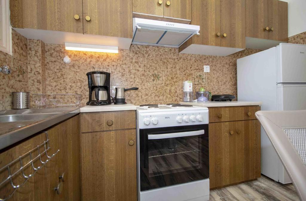 Apartment Manousi 1- Ground Floor Mystras
